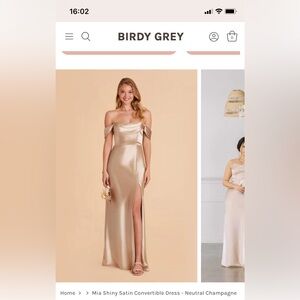 Birdy grey MIA convertible dress in neutral champagne